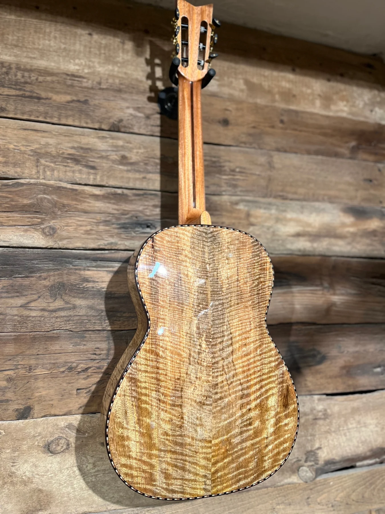 Classic Hauser Mango №13 — задняя дека